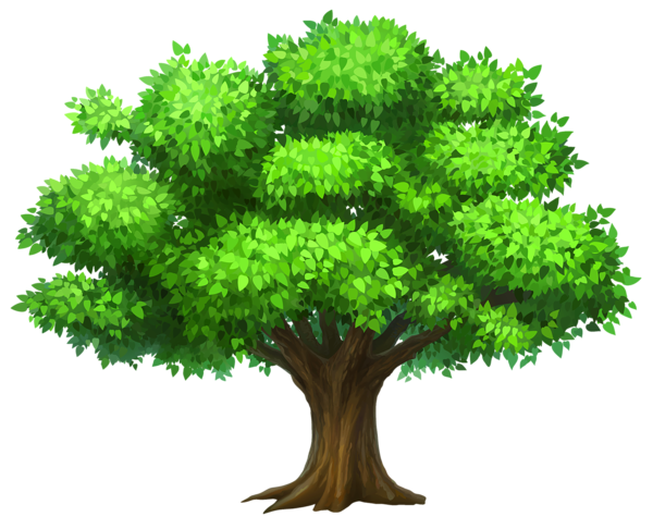 agac-png-tree-png-agac-resimler-png-tree-images-7