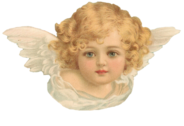 angel-cherubim-holywell-community