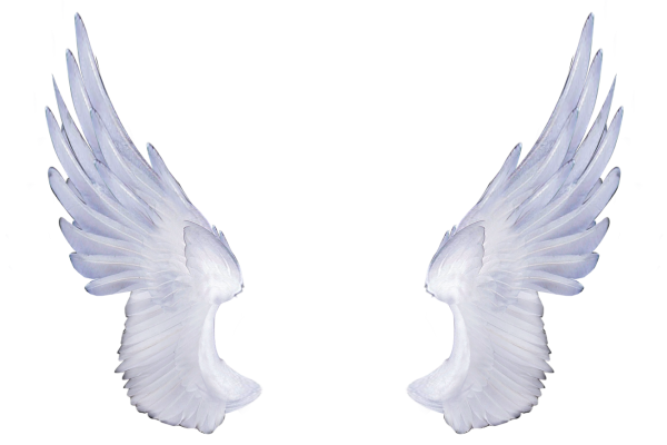 angel-wings-png-cliparts