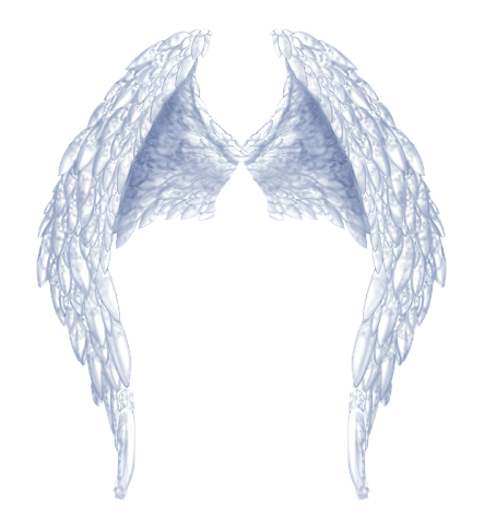 angel-wings-png-morbid-princess-wings-png