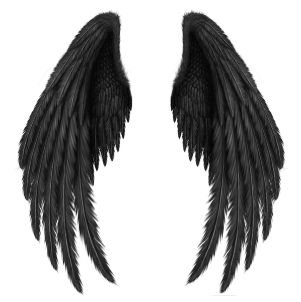 angel-wings-png-pin-ann-techlin-artistically-and-creatively-wings