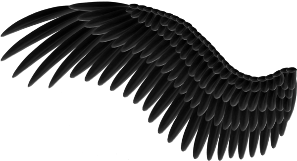 angel-wings-png-thy-darkest-hour-clipart-library-iampng