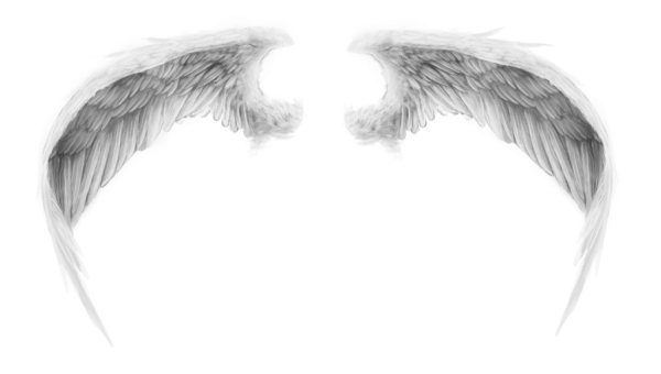 angel-wings-png-wings-romanticfae-clipart-library