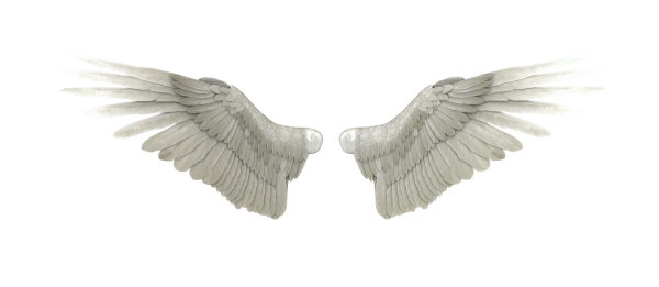 angel-wings-png-woo-hoo-favourites-flobelebelebobele-deviantart