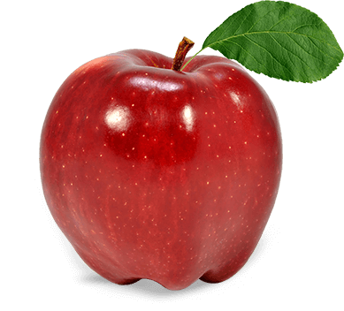 apple-fruit-png-transparent-images-png-only