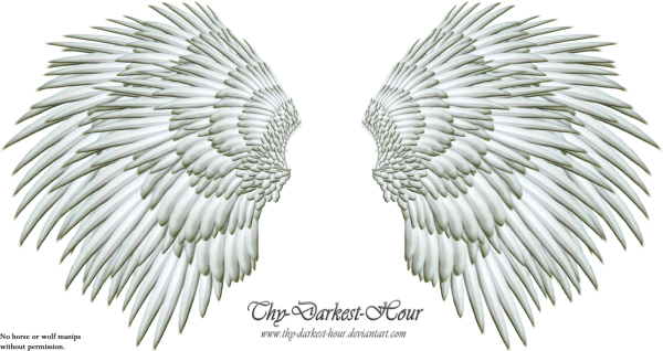 clipart-library-more-like-angel-wings-png-thy