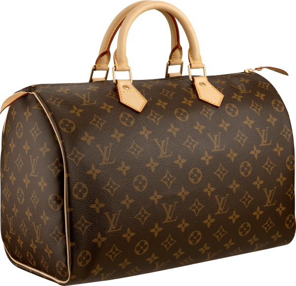 download-louis-vuitton-women-bag-png-image-png-image