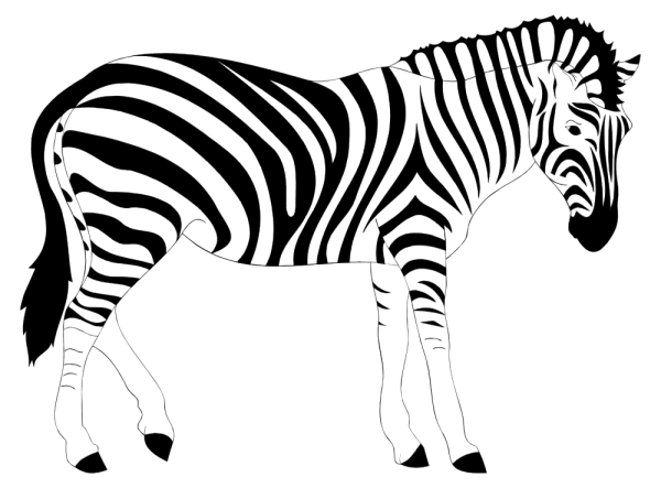 onlinelabels-clip-art-realistic-zebra-illustration-17