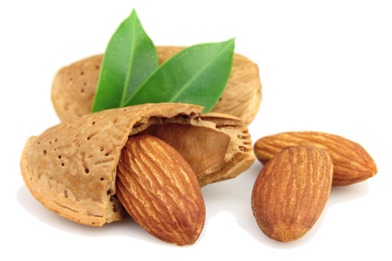 peanut-tree-nuts-processing-equipment-3