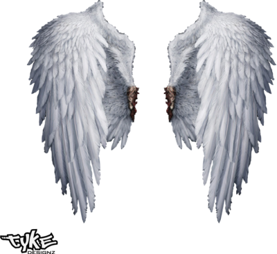 psd-detail-angel-wings-official-psds-iampng