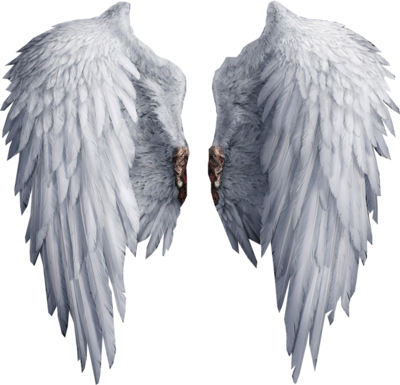 psd-detail-angel-wings-official-psds