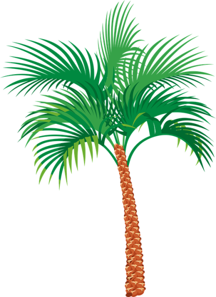 vector-graphic-palm-tree-exotic-vacation-12