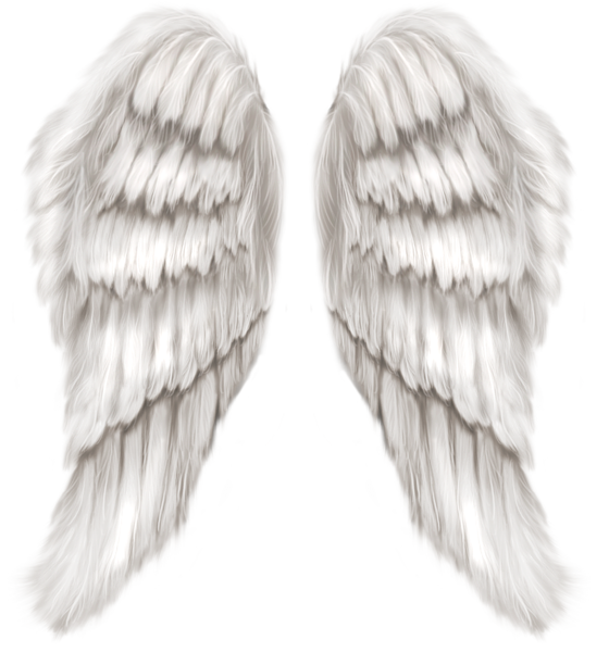 white-angel-wings-transparent-png-clip-art-image-gallery