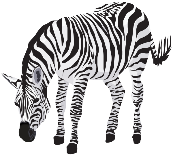 zebra-clipart-image-gallery-yopriceville-high-quality-images-and-transparent-png-clipart-34