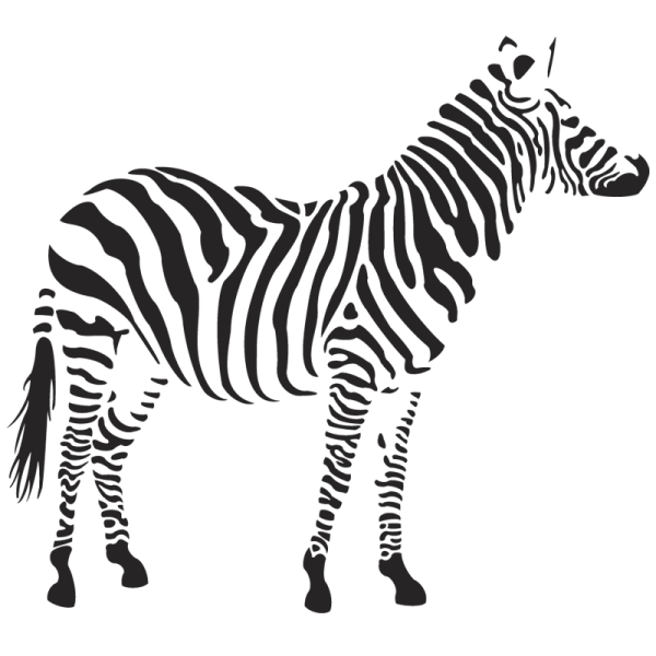 zebra-png-image-collection-for-download-crazypngm-crazy-png-images-download-11