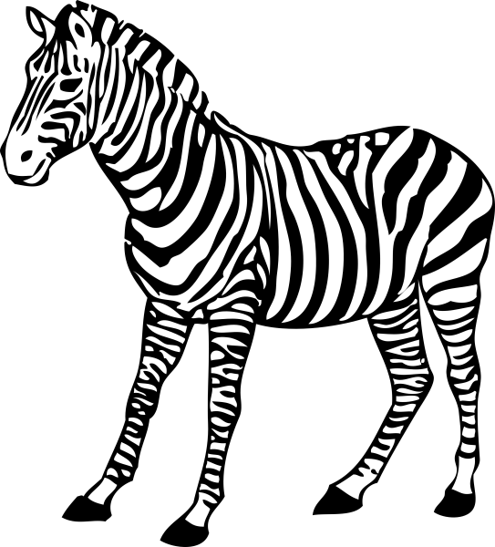 zebra-png-image-collection-for-download-crazypngm-crazy-png-images-download-12