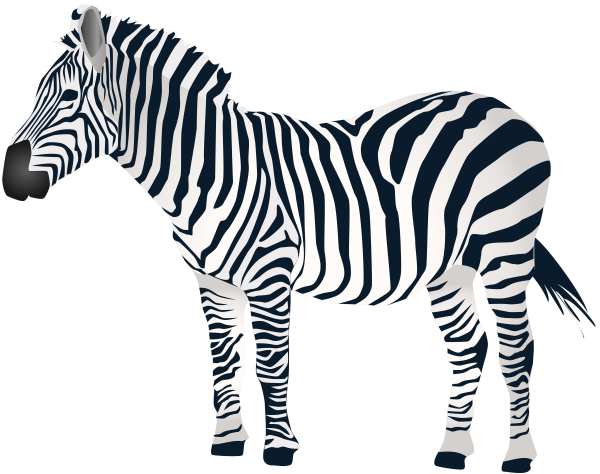 zebra-png-zebra-transparent-images-pngio-30